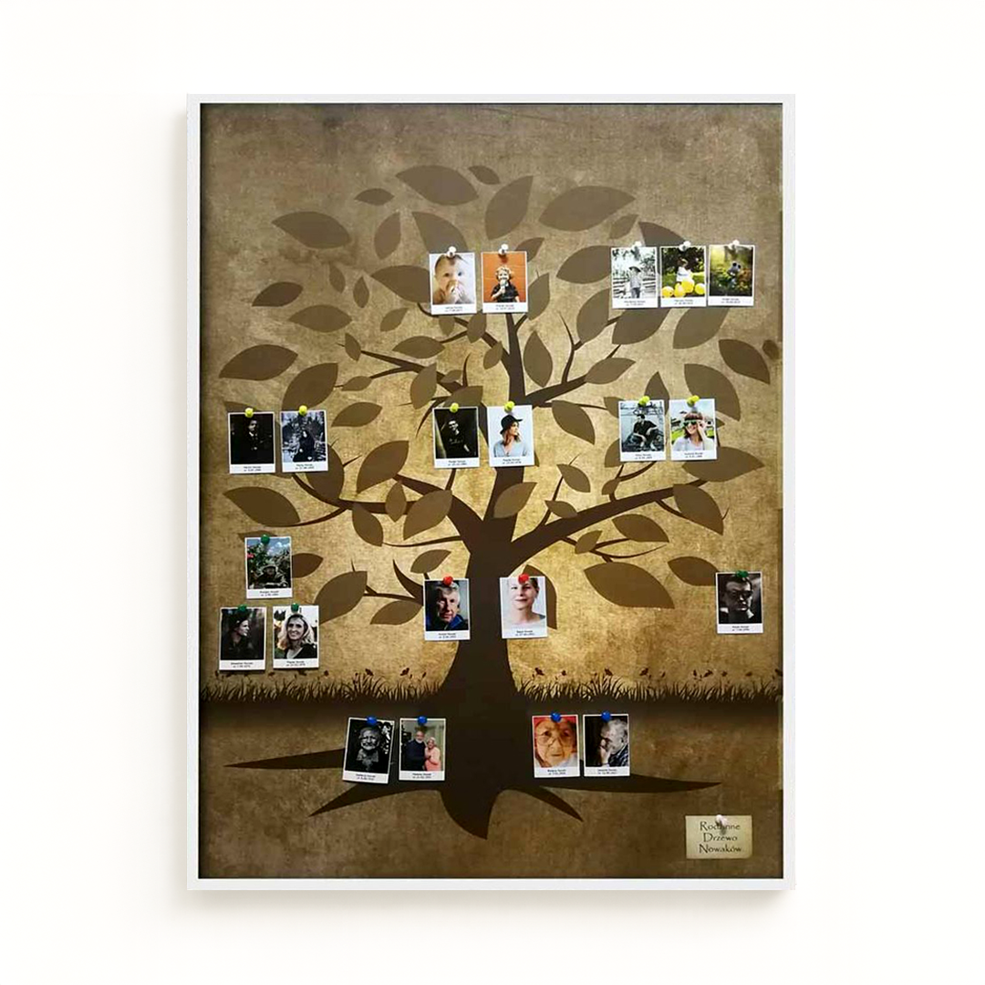 Obraz przedstawiający rodzinne drzewo genealogiczne na białym tle