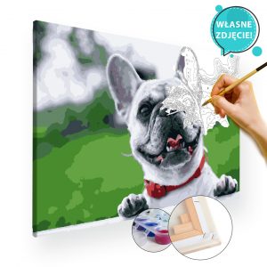 malowanie po numerach pies z własnego zdjęcia