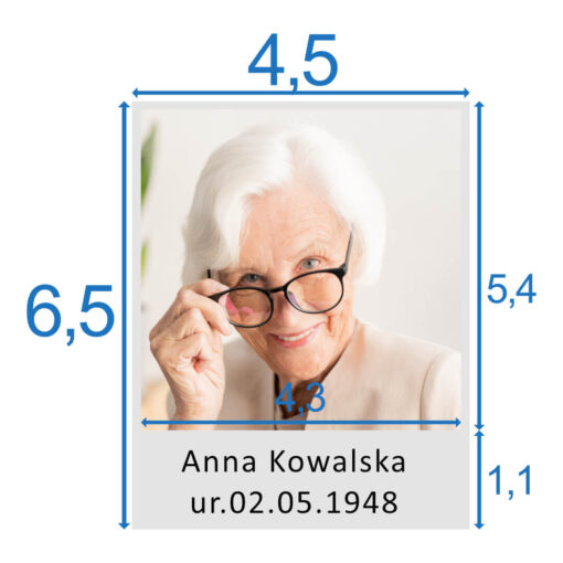 Podgląd polaroid drzewo genealogiczne